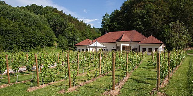 weingut mastnak 3